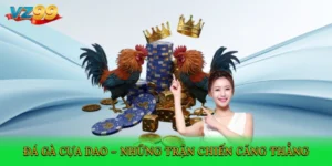 đá gà cựa dao
