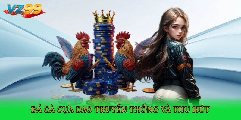 Đá gà cựa dao truyền thống và thu hút