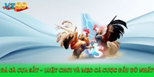 Đá gà cựa sắt