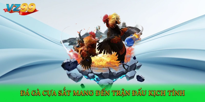 Đá gà cựa sắt mang đến trận đấu kịch tính