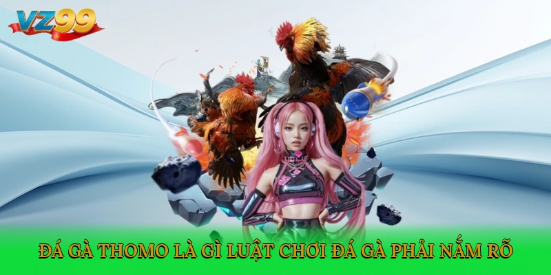 Đá gà Thomo