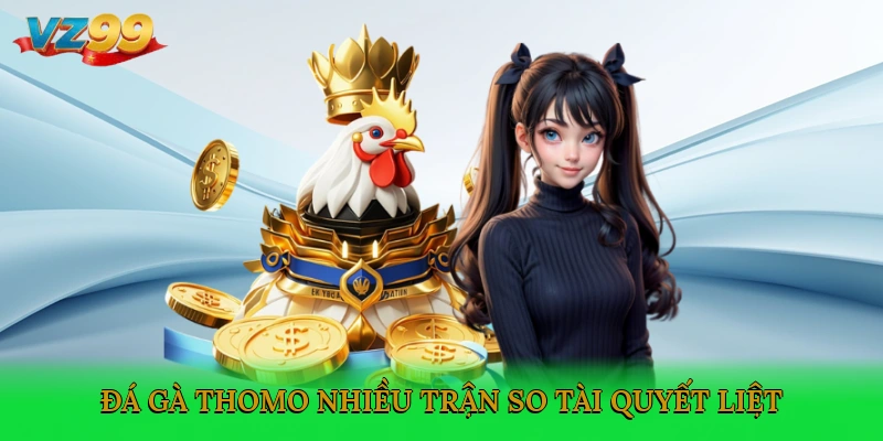 Đá gà Thomo mang đến nhiều trận so tài quyết liệt