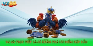 Đá gà trực tiếp