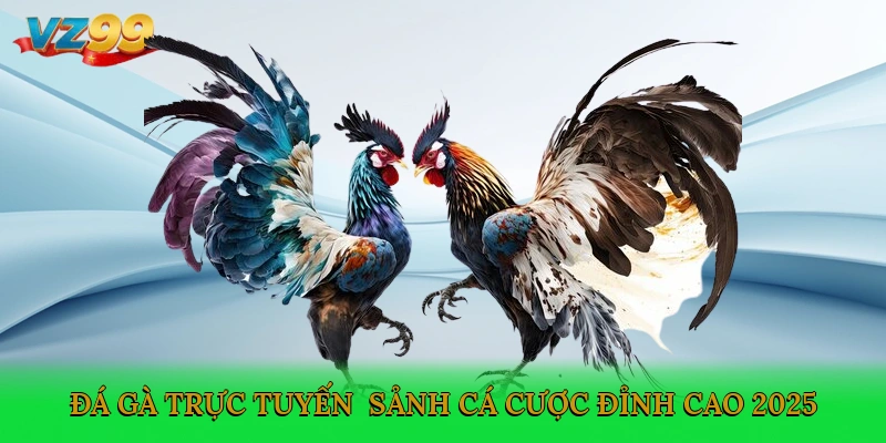 Đá gà trực tuyến