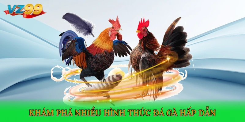 Khám phá nhiều hình thức đá gà hấp dẫn