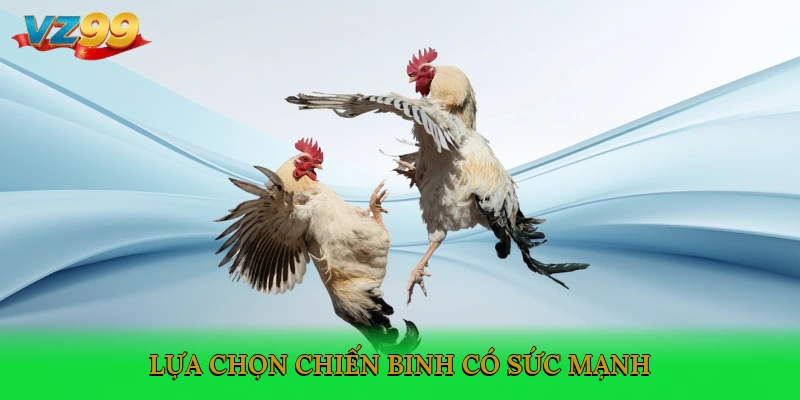 Lựa chọn chiến binh có sức mạnh