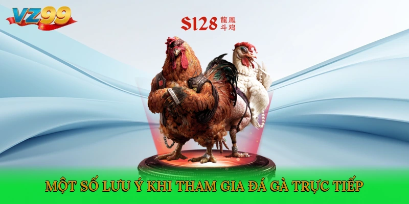 Một số lưu ý khi tham gia đá gà trực tiếp