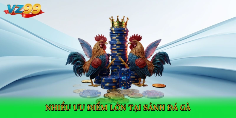 Nhiều ưu điểm lớn tại sảnh đá gà trực tiếp