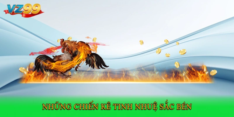 Những chiến kê tinh nhuệ, sắc bén