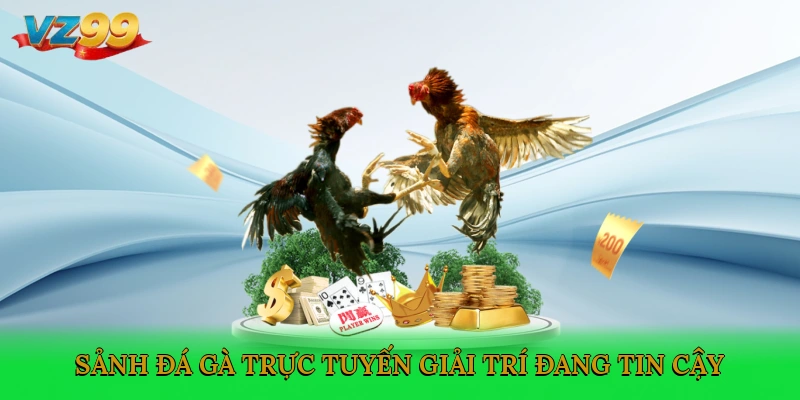 Sảnh đá gà trực tuyến VZ99 giải trí đang tin cậy