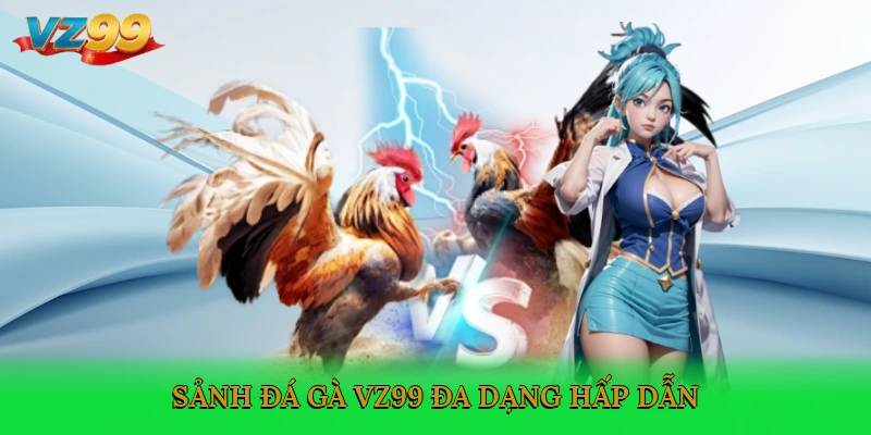 Sảnh đá gà VZ99 đa dạng, hấp dẫn