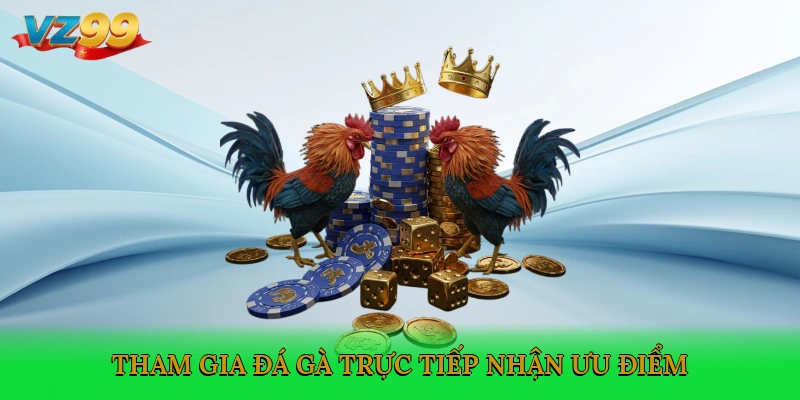 Tham gia đá gà trực tiếp nhận ưu điểm