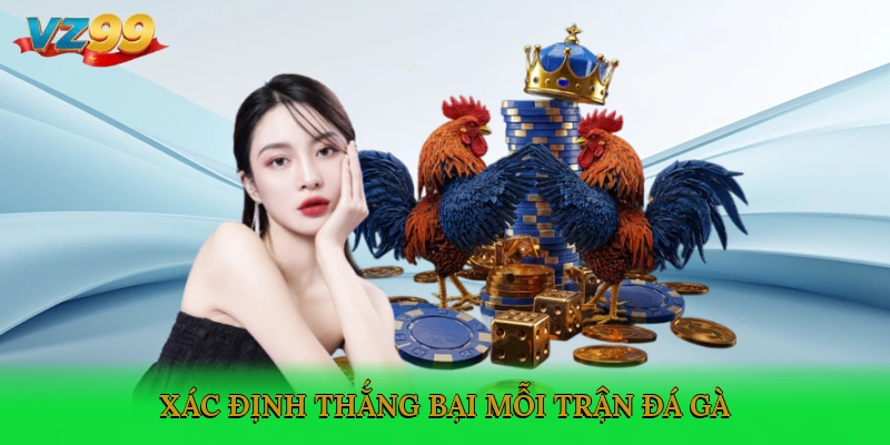 Xác định thắng bại mỗi trận đá gà